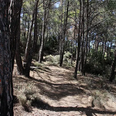 Апартаменты Rustic House Embonas