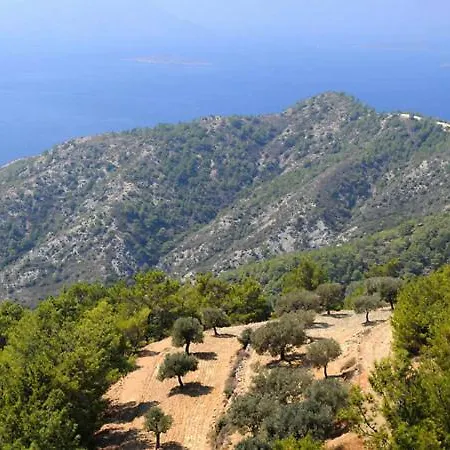 Апартаменты Rustic House *