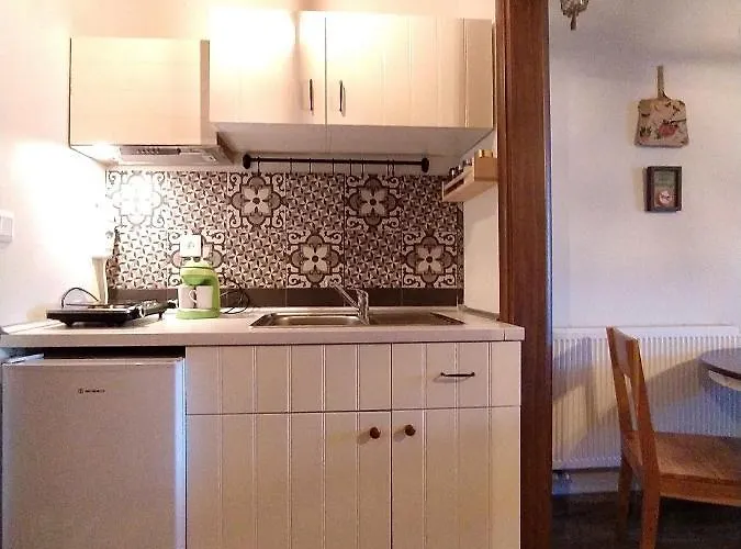 Apartmán Rustic House *