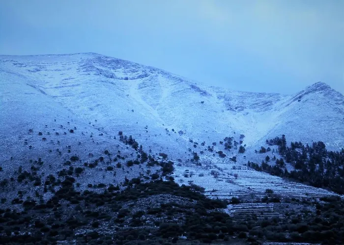 Rustic House شقة *