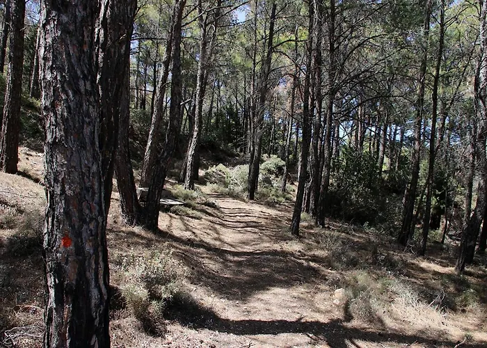 Daire Rustic House Émbonas