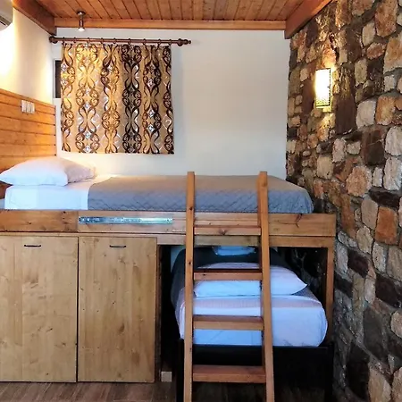 Apartment Rustic House